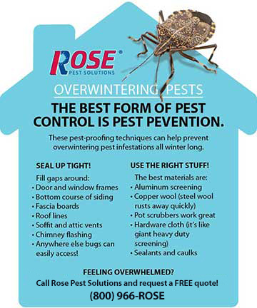 Overwintering Pest Prevention